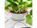 DIY automatic irrigation kit